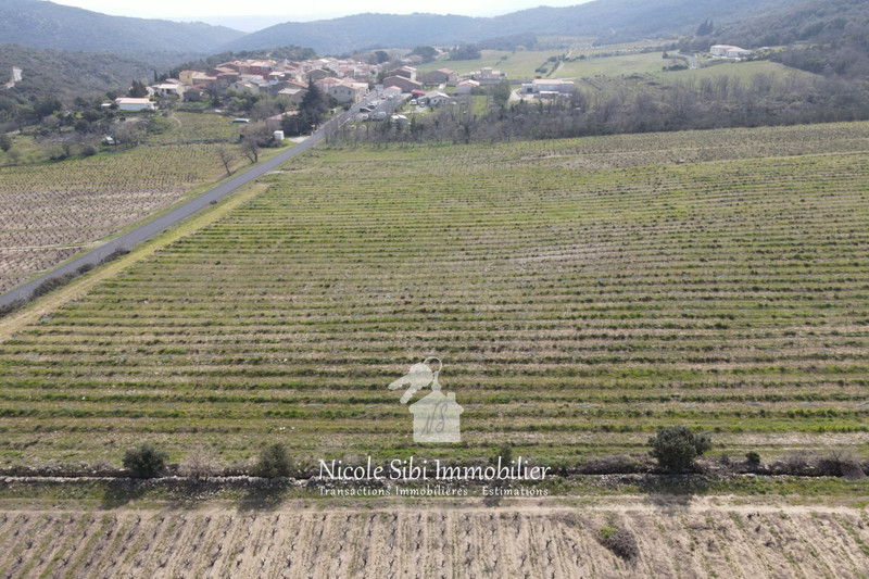 Vente terrain agricole Lansac  
