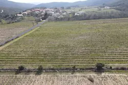 Vente terrain agricole Lansac  