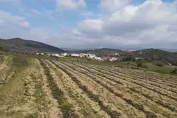 Vente terrain agricole Lansac  