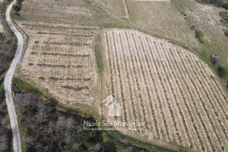 Vente terrain agricole Lansac  