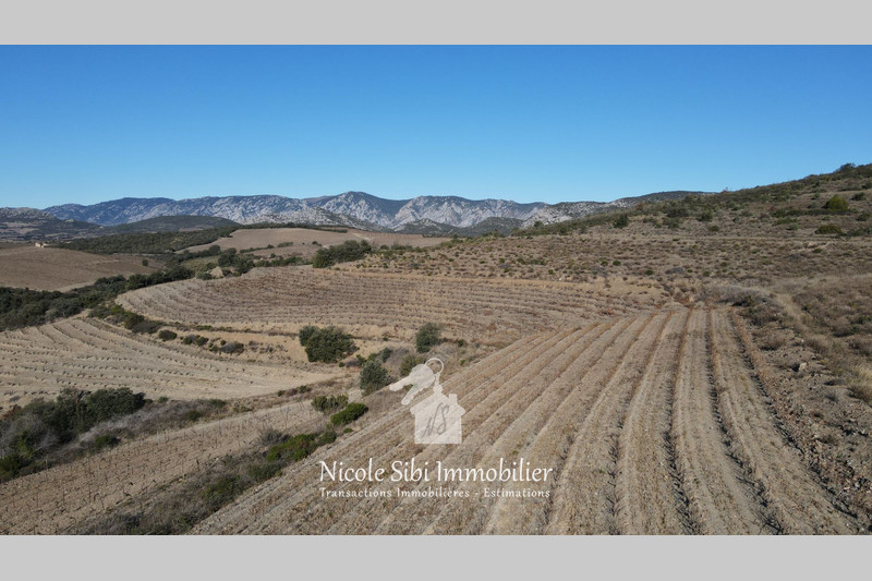 Vente terrain agricole Rasiguères  