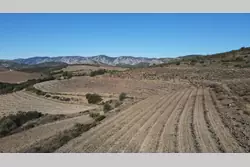 Vente terrain agricole Rasiguères  