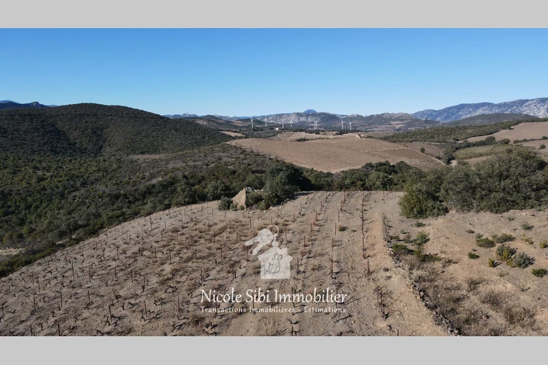 Vente terrain agricole Rasiguères  