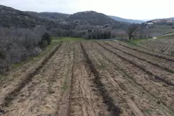 Vente terrain agricole Lansac  