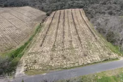 Vente terrain agricole Lansac  