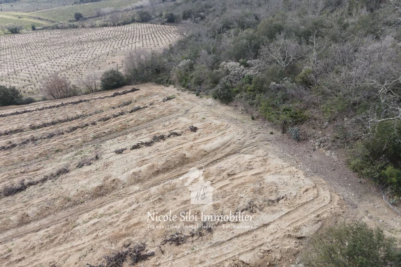 Vente terrain agricole Lansac  