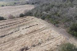 Vente terrain agricole Lansac  
