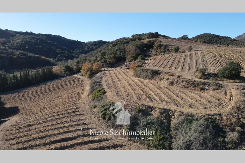 Vente terrain agricole Rasiguères  