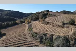 Vente terrain agricole Rasiguères  