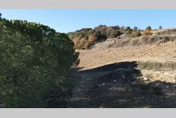 Vente terrain agricole Rasiguères  