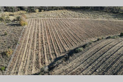 Vente terrain agricole Rasiguères  