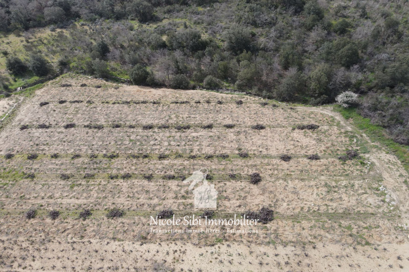 Vente terrain agricole Lansac  