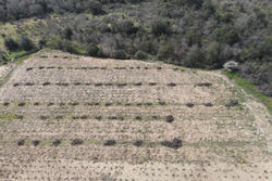 Vente terrain agricole Lansac  