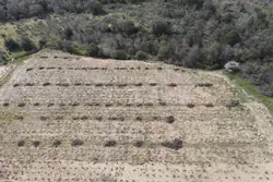 Vente terrain agricole Lansac  