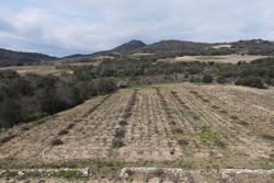 Vente terrain agricole Lansac  