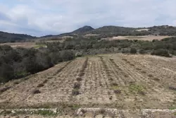 Vente terrain agricole Lansac  