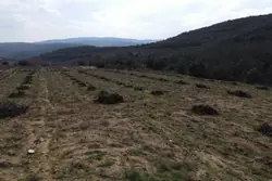 Vente terrain agricole Lansac  