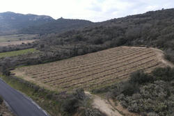 Vente terrain agricole Lansac  