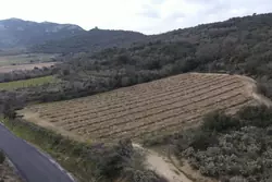Vente terrain agricole Lansac  