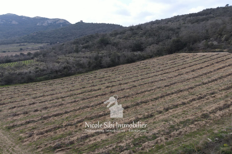 Vente terrain agricole Lansac  