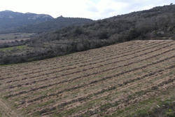 Vente terrain agricole Lansac  