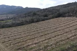 Vente terrain agricole Lansac  