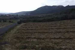 Vente terrain agricole Lansac  