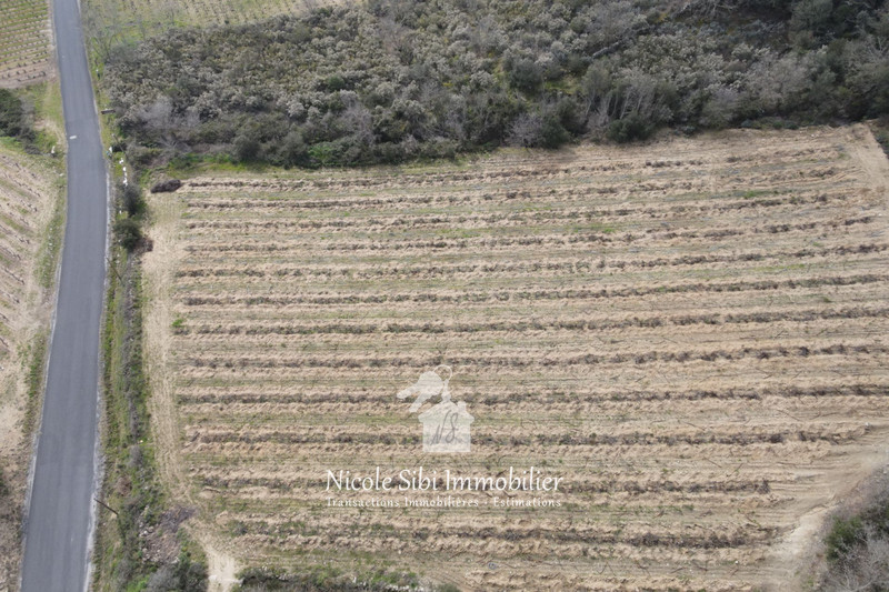 Vente terrain agricole Lansac  