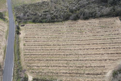 Vente terrain agricole Lansac  