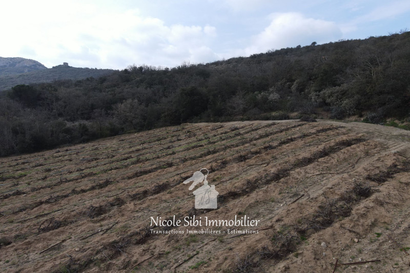 Vente terrain agricole Lansac  