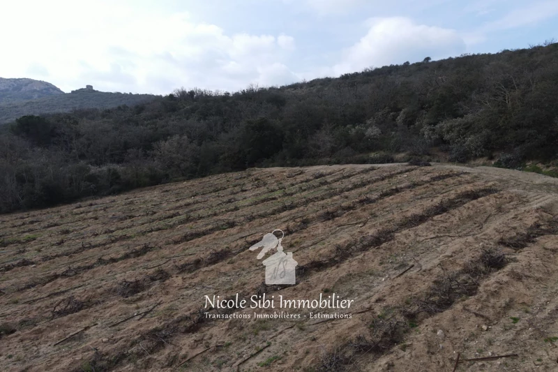 Vente terrain agricole Lansac  