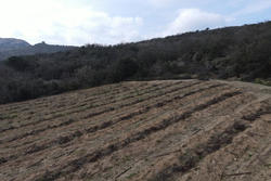 Vente terrain agricole Lansac  