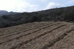 Vente terrain agricole Lansac  