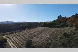 Vente terrain agricole Lansac  