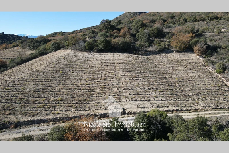Vente terrain agricole Lansac  