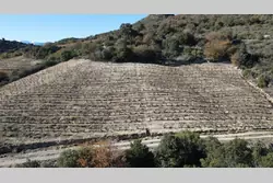 Vente terrain agricole Lansac  