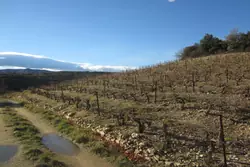 Vente terrain agricole Lansac  