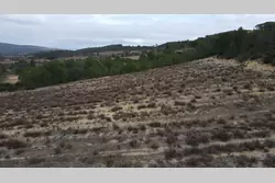 Vente terrain agricole Tautavel  