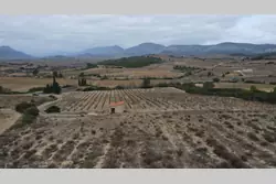 Vente terrain agricole Tautavel  