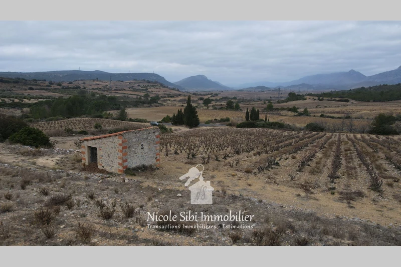 Vente terrain agricole Tautavel  