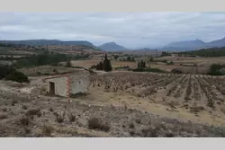 Vente terrain agricole Tautavel  