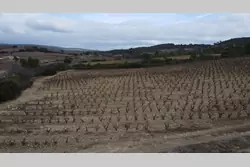 Vente terrain agricole Tautavel  