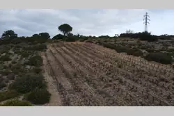 Vente terrain agricole Tautavel  