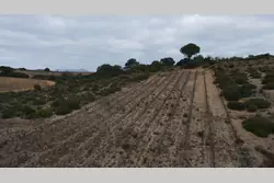 Vente terrain agricole Tautavel  