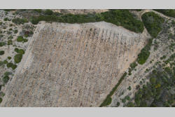 Vente terrain Tautavel  