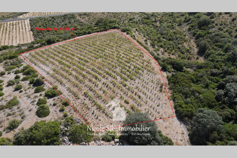 Vente terrain Tautavel  