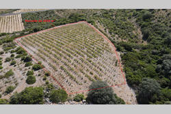 Vente terrain Tautavel  