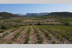 Vente terrain Tautavel  