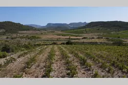 Vente terrain Tautavel  