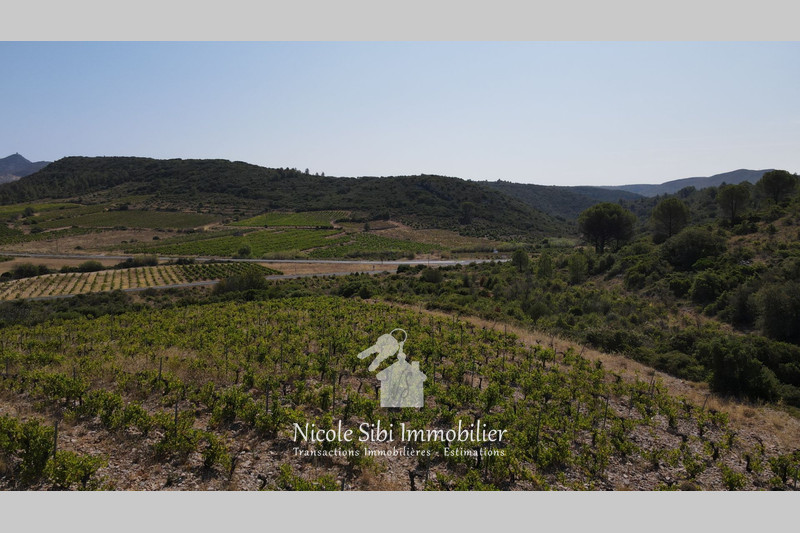 Vente terrain Tautavel  